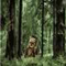 Ewoks Icon