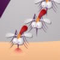 Kill Mosquito Icon