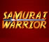 Samurai Warrior Icon