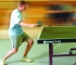 Table Tennis Icon